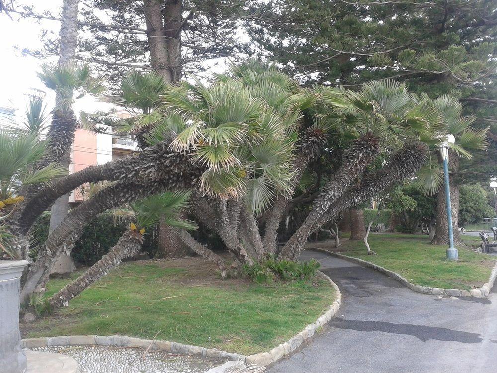 Hotel Duarte Bordighera Zewnętrze zdjęcie